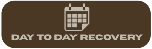 Day to Day Recovery Logo